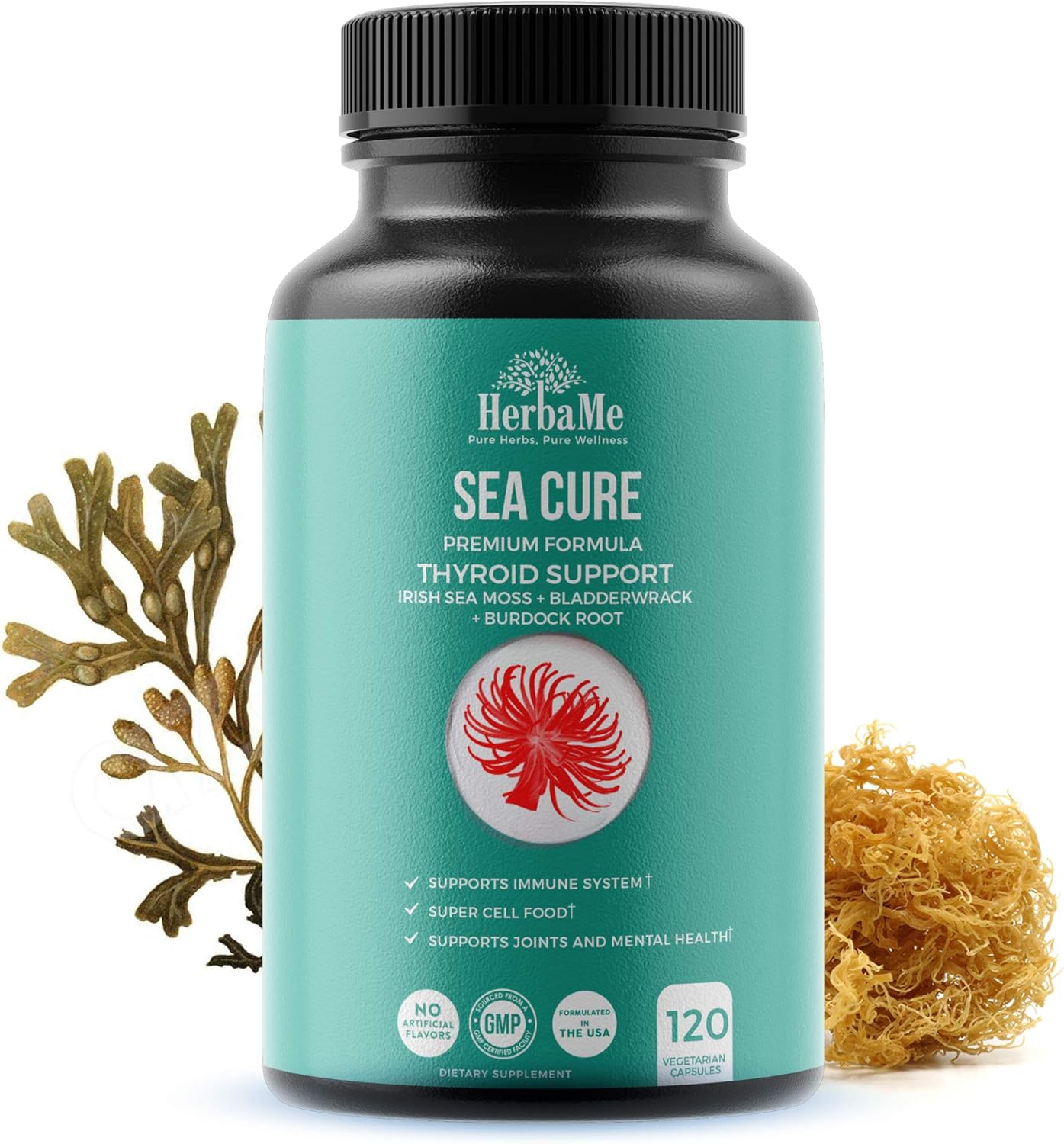 HerbaMe Wildcrafted Irish Sea Moss Capsules with Bladderwrack and Burdock Root | 120 Count | 1300 mg | Thyroid Support, Natural Iodine Source, Promotes Immune System, Cell Food, Alkaline Supplement
