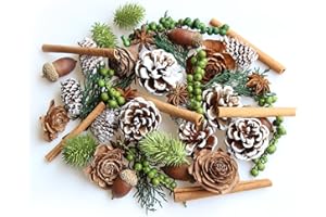 RENMTURE DIY Natural Dried Flower Kit - Bulk Dried Plants, Pine Cones, Scented Lemon Slices, Cinnamon Sticks Wood Roses & Mini Pinecones for Home Décor, Christmas Decoration (Green)
