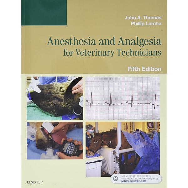 Veterinary Anesthetic and Monitoring Equipment