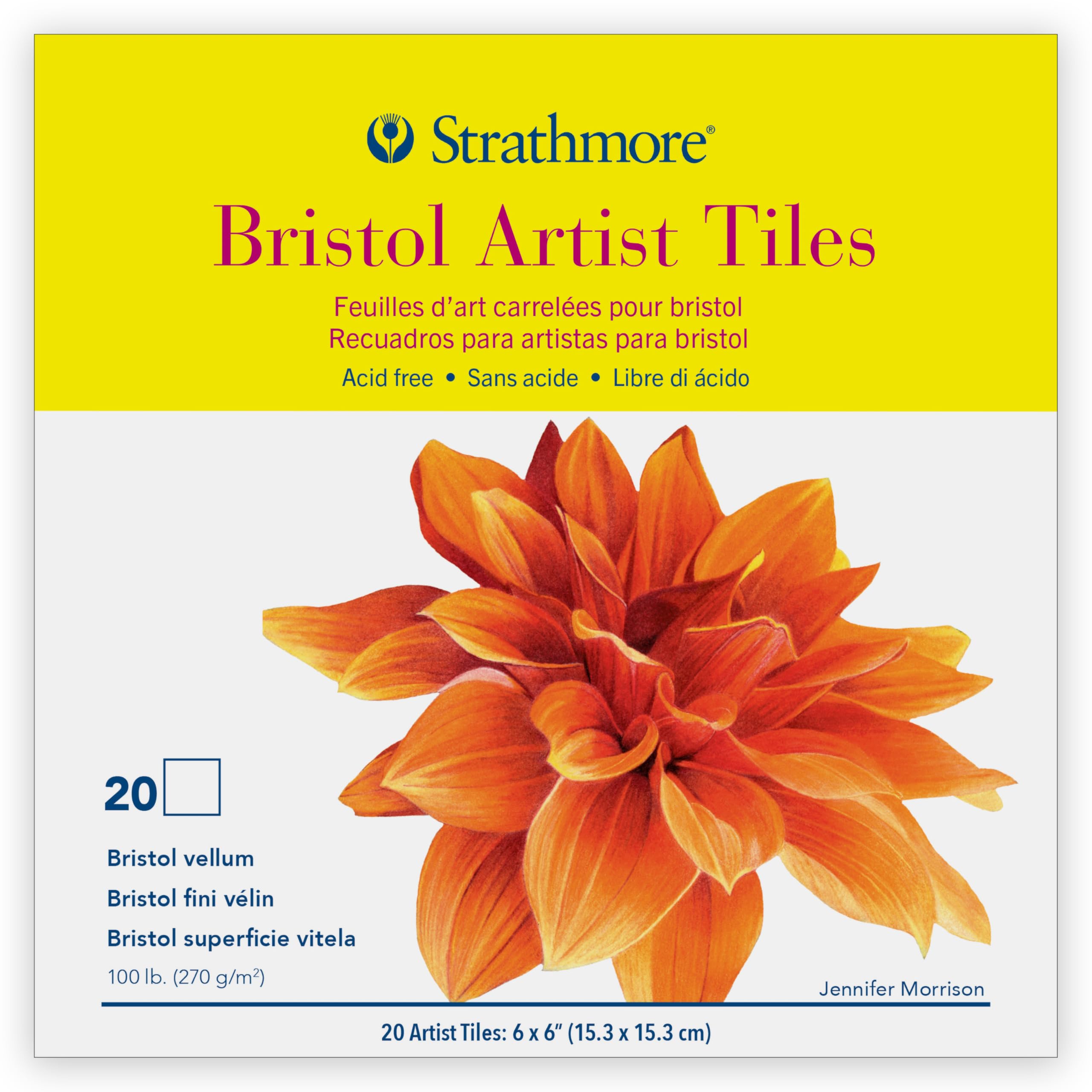 Strathmore 062105972 Artist Tiles, Multi-Colour, 6 x 6-Inch, Pack of 20