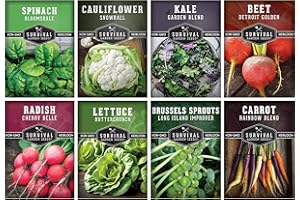 Fall & Winter Vegetable Seed Collection – 8 Packs of Non-GMO Heirloom Seeds for Planting Vegetables | Autumn & Indoor Gardening Seed Pack – Survival Garden Seeds