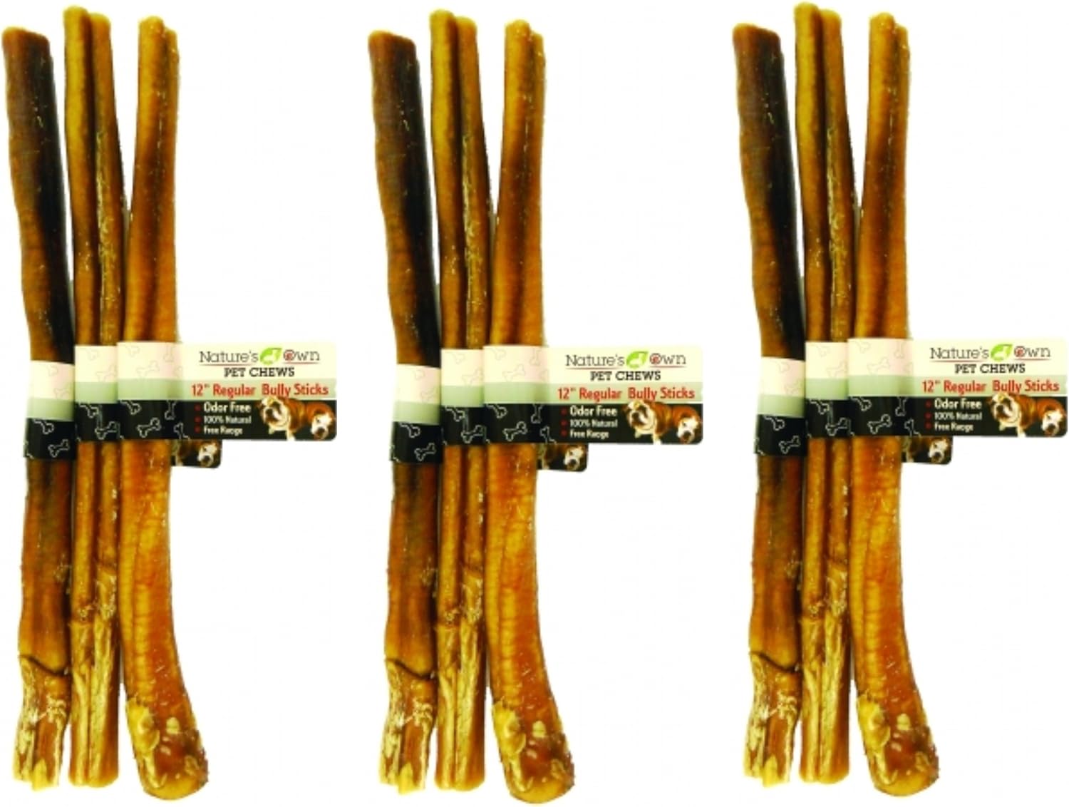 jack russell terrier mini toy