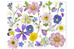 OECOO 39 Pcs Mixed Dried Pressed Flowers for Crafts,Real Nature Dry Flower Bulk for Resin Jewelry Making Candle Making Frame 