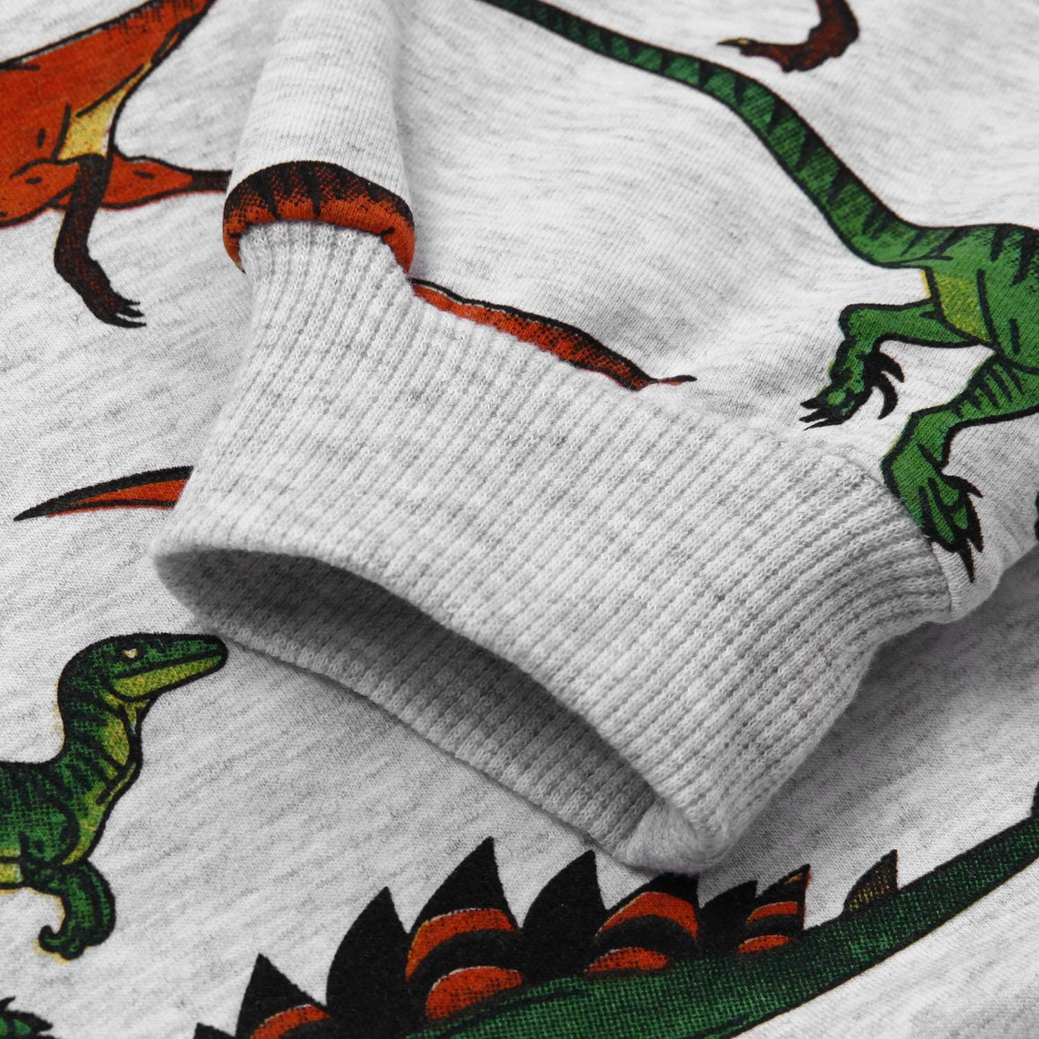 Toddler Boys Dinosaur Sweatshirts Cartoon Winter Long Sleeve Kids Sport Outdoor Pullover Tops Tees 2T-8T: Clothing