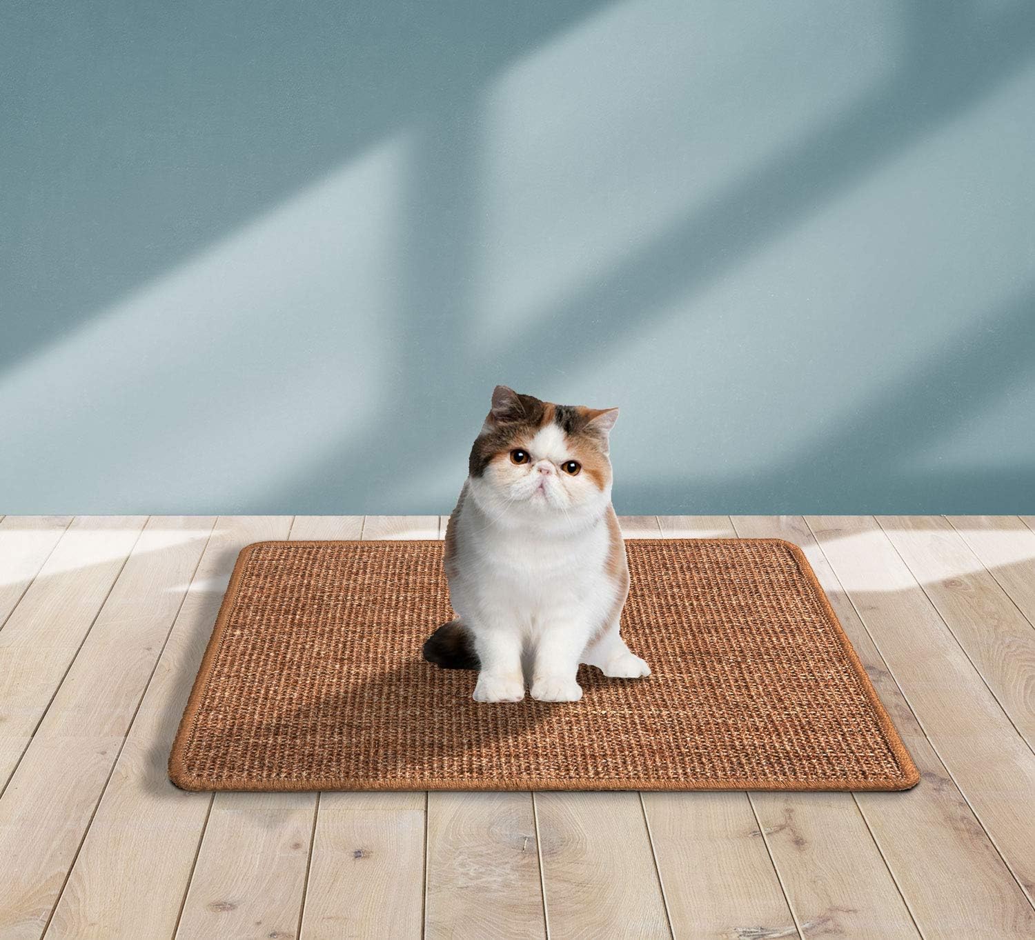 LSAIFATER 2 PCS Cat Scratching Mat, Natural Sisal Mat, Protect Carpets and Sofas (11.8x14.9 inch, Brown) : Pet Supplies