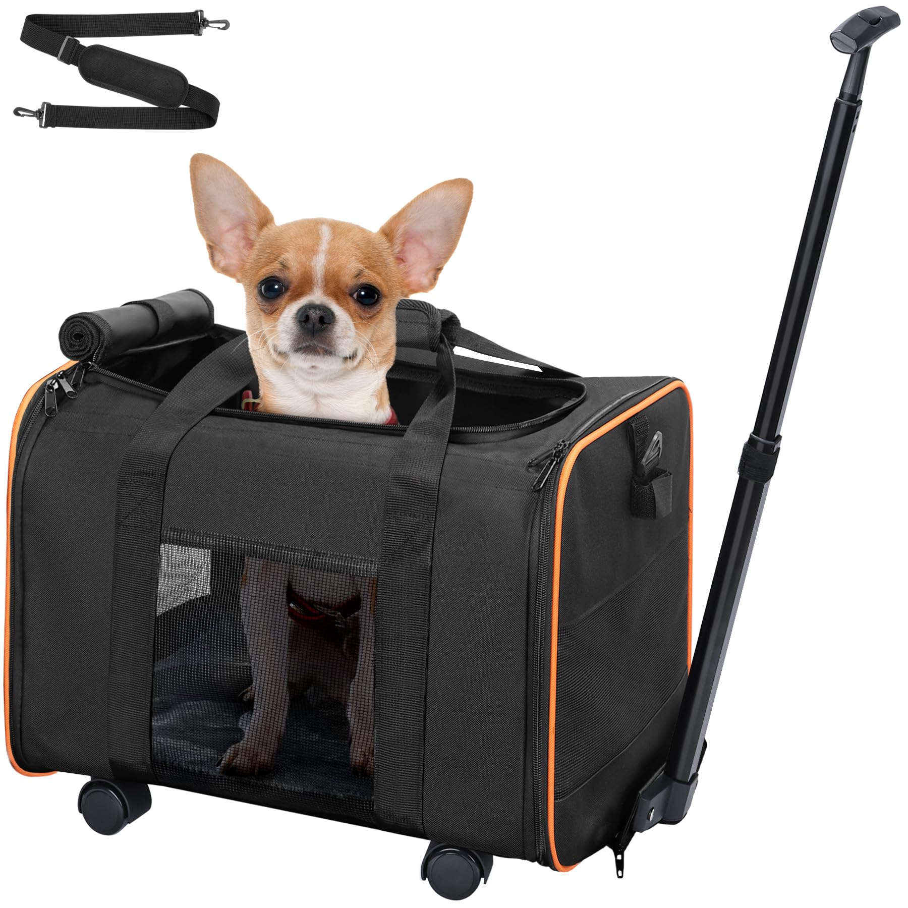 Amazon Sac De Transport Pour Chihuahua Sac De Transport Pour Petit