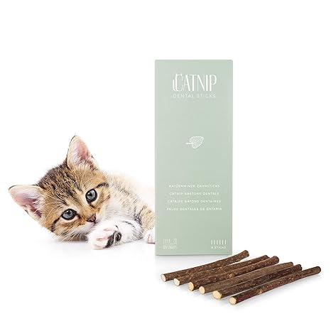 EVERANIMALS 6 Sticks Katzenminze - Naturprodukt aus Matabi Pflanze, Katzenspielzeug und Zahnpflege