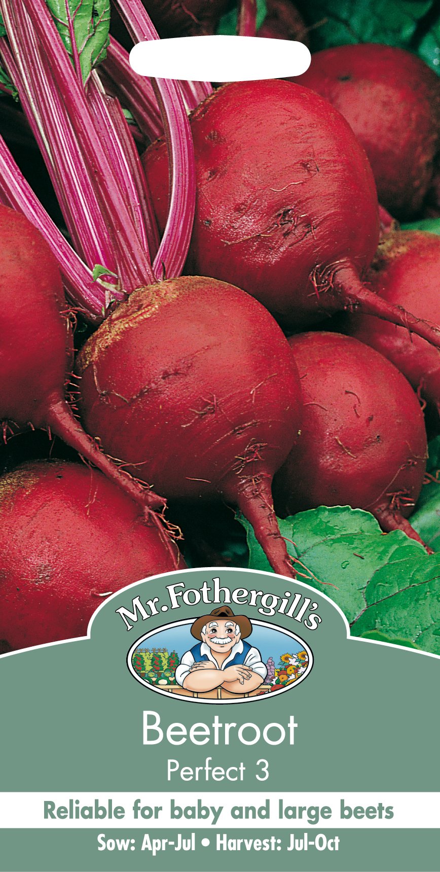 Mr Fothergill's 24797 Vegetable Seeds, Beetroot Perfect 3, Red