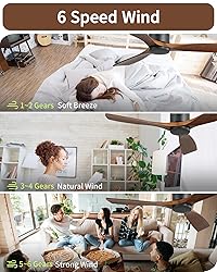 CACI Mall Flush Mount Ceiling Fan - 52 Inch Low