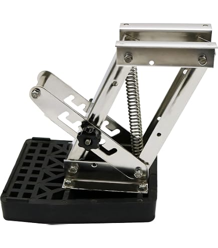 Amazon.com: Panther 55-0410 Auxiliary Outboard 4-Stroke Motor