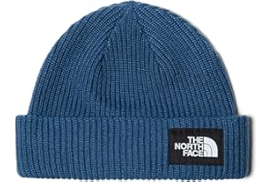 THE NORTH FACE Salty Dog Lined Beanie | Cuffed Winter Hat for Men & Women, Soft Lining with Moisture Wicking FlashDry