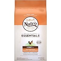 amazon dry dog food best sellers