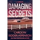 Damaging Secrets (Rachel Ryder Book 1)