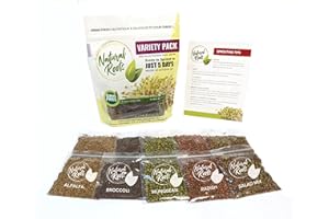 NATURAL ROOTS Variety Pack Sprouting Seeds Broccoli, Alfalfa, Radish, Mung beans & Salad Mix for Sprouts and Microgreens. Non-GMO. Pack of 10 premeasured seeds for quart size jars or trays. Includes 2 packs of each