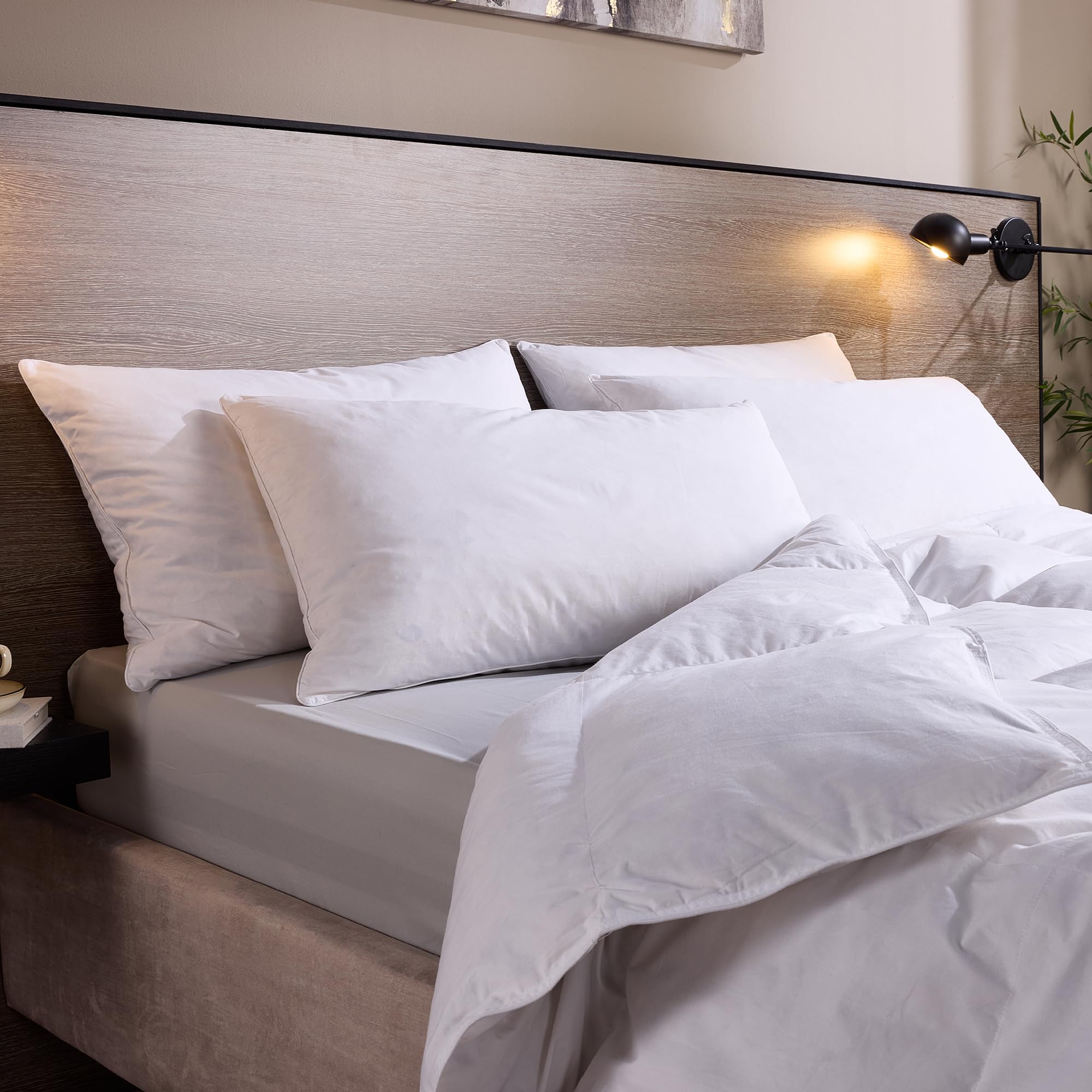 Snuggledown Luxury Goose Feather & Down Pillow - Ethically Sourced 85:15 Blend, Medium Support Bed Pillow for Back Sleepers | UK-Made, Cotton Cover, Washable (48 x 74cm)