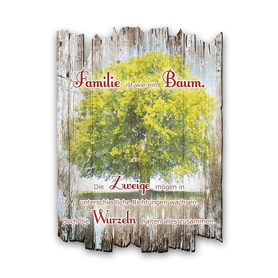 Holz 30x20cm Kreative Feder Wandbild Holzschild Mit Spruch Und Motiv Shabby Chic Landhaus Stil Wand Deko Fur Zuhause Familie Und Freunde Sidra Hospital