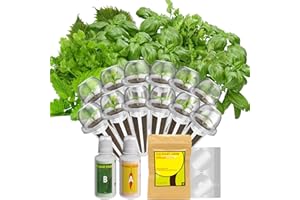 INBLOOM 12-Pod Gourmet Herb Basil Seed Pod Kit for AeroGarden, Ahopegarden Hydroponic Garden, Basil, Mint, Cilantro, Parsley, Shiso, Chicory, Liquorice, 400+ Seeds