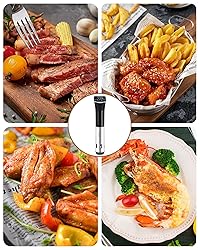Sous Vide, Lonkion Sous Vide Cooker
