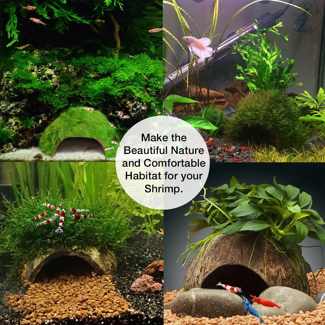 SunGrow Organic Coco Shrimp Cave : Comfortable Hideout for Shrimp : Perfect Breeding Area : Naturally Attractive & Non Toxic : Unique Aquarium Decoration