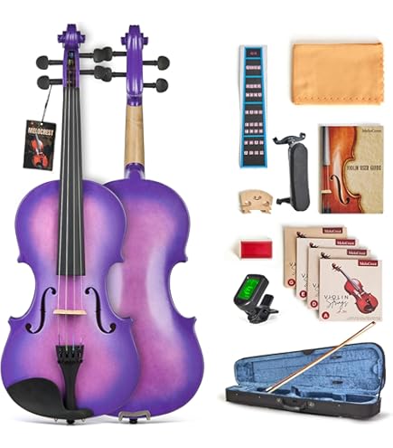Amazon.com: Cremona SV-75 Premier Novice Violin Outfit - Sparkling
