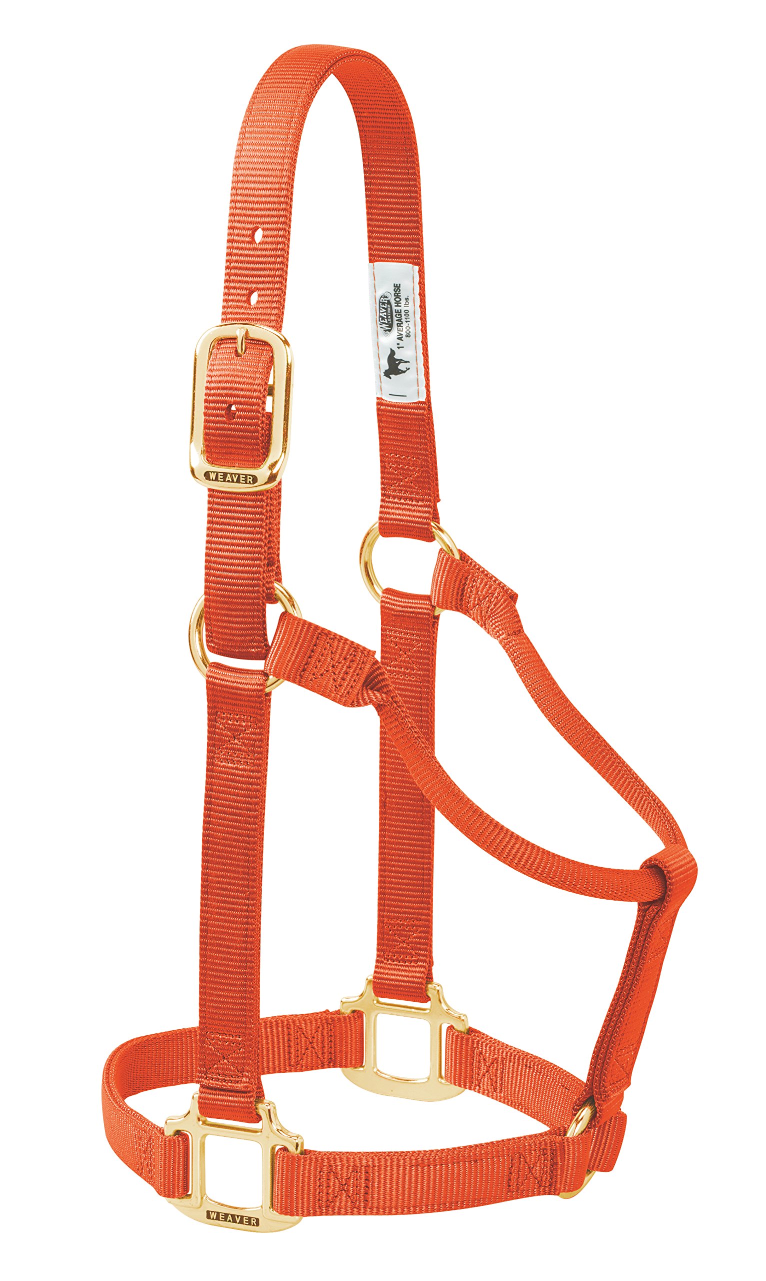 Weaver Leather Original Non-Adjustable Nylon Horse Halter, Large, Orange