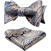 HISDERN Bow Ties for Men Paisley Bowties Mens Self Tie Bow Tie and Pocket Square Set Formal Tuxedo Wedding Bowtie