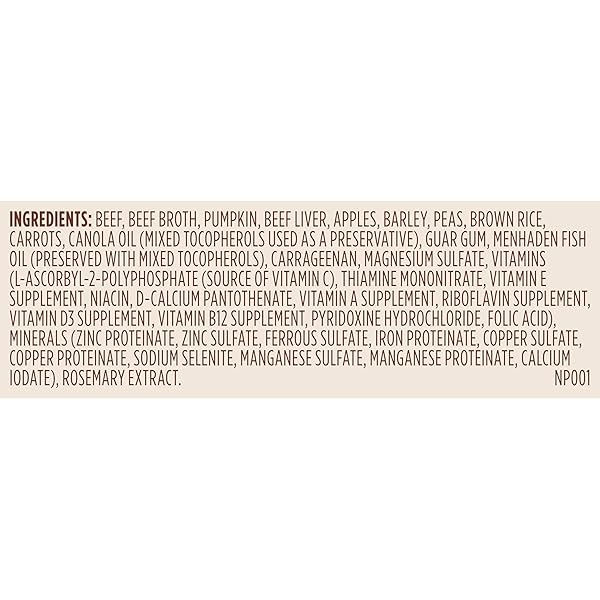 NUTRISH REAL BEEF & PUMPKIN RECIPE WHOLE HEALTH BLEND PREMIUM PATÉ WET DOG FOOD, 13 OZ. CAN, 12 COUNT, PACKAGING MAY VARY (RACHAEL RAY)