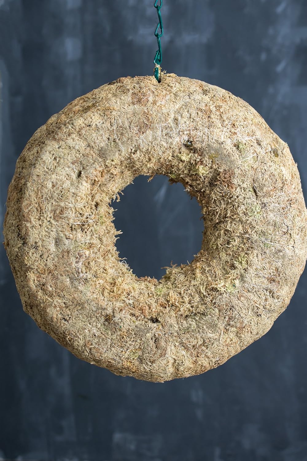 Sphagnum Moss Living Wreath 12 Inch Amazon.ca Home & Kitchen