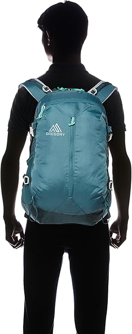 Amazon Co Jp グレゴリー バックパック リュック 公式 パトス28 ジュニパーグリーン シューズ バッグ