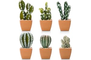 T4U Assorted Artificial Succulent Potted Plants Decorative Plastic Faux Cactus with Pots, Pack of 6