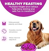 Outward Hound Slow Feeder Dog Bowl Large Purple – Non-Slip, Dishwasher Safe view 2