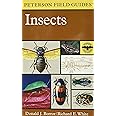 A Field Guide to Insects: America North of Mexico (Peterson Field Guides)
