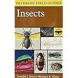 A Field Guide to Insects: America North of Mexico (Peterson Field Guides)