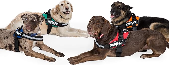 washing julius k9 harness