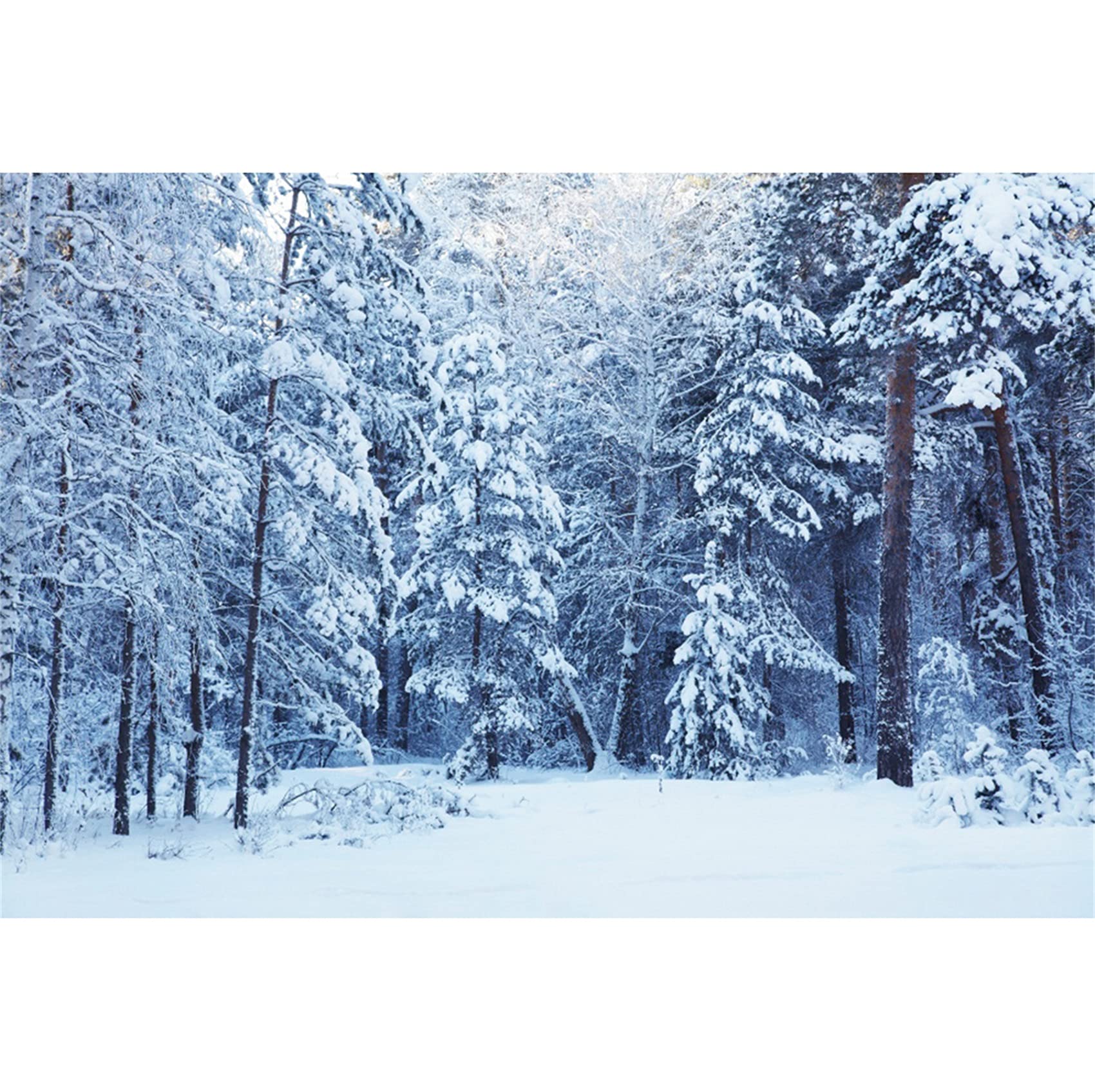 Ttincceer 10x8ft Winter Forest Snow Backdrop Christmas New Year Outdoor Snowfield Photography Background Deep Forest Woodland Snowy Scenery Photography Backdrop Photo Booth Prop