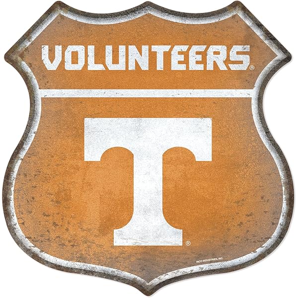 Bandiera Americana Con 50 Stelle In Bianco E Nero - Immagini Vettoriali - Foto 2