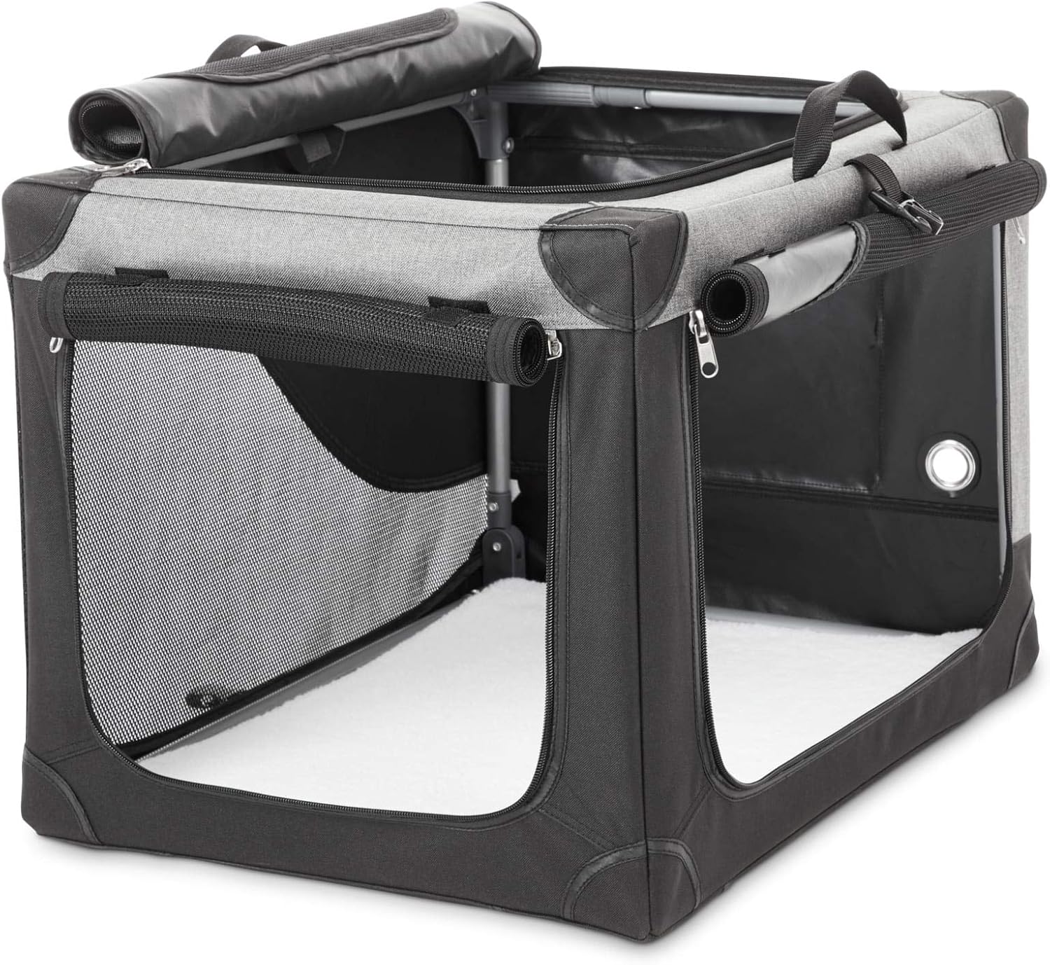 world's biggest chow chow