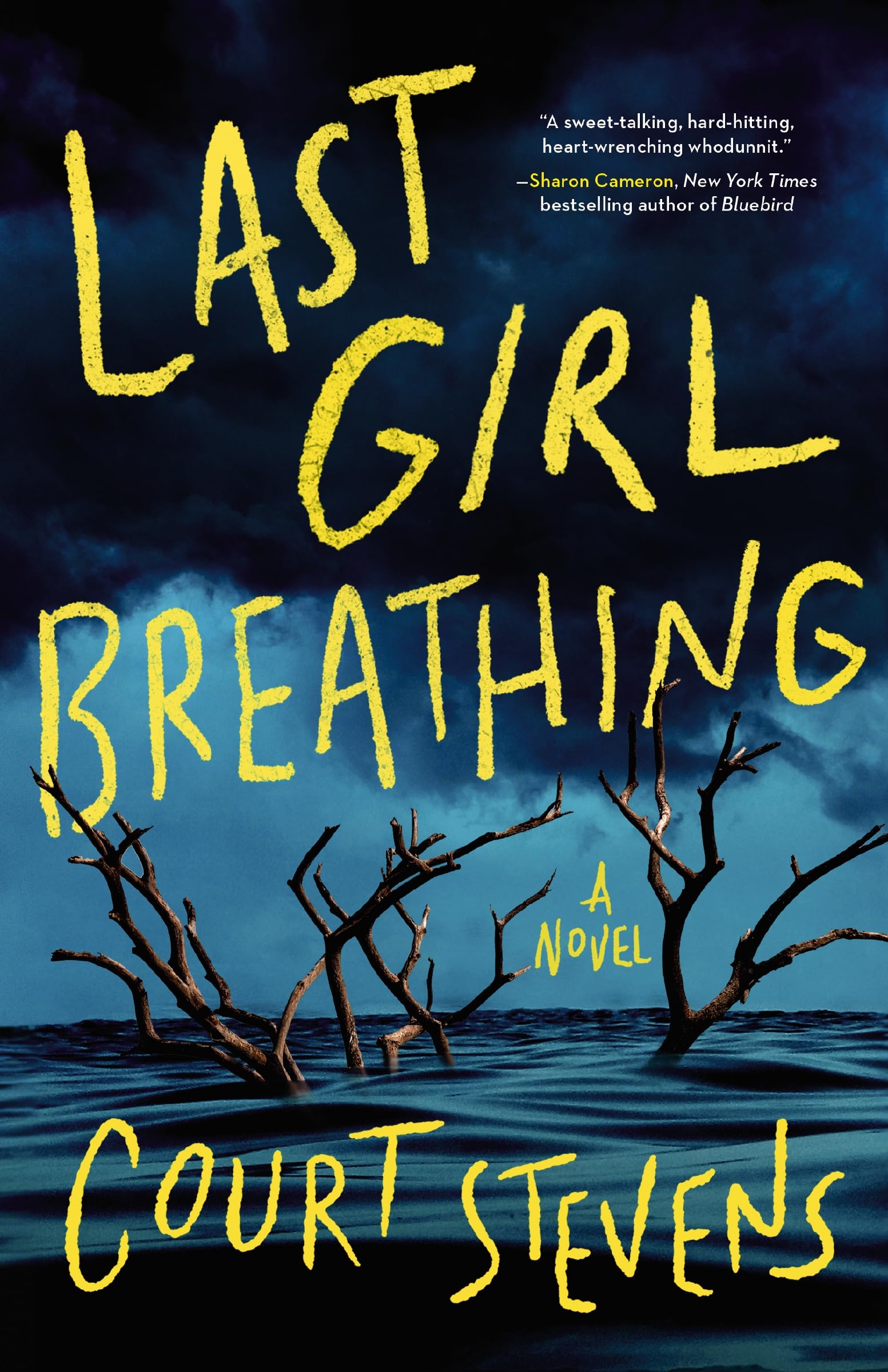 Last Girl Breathing: A Novel