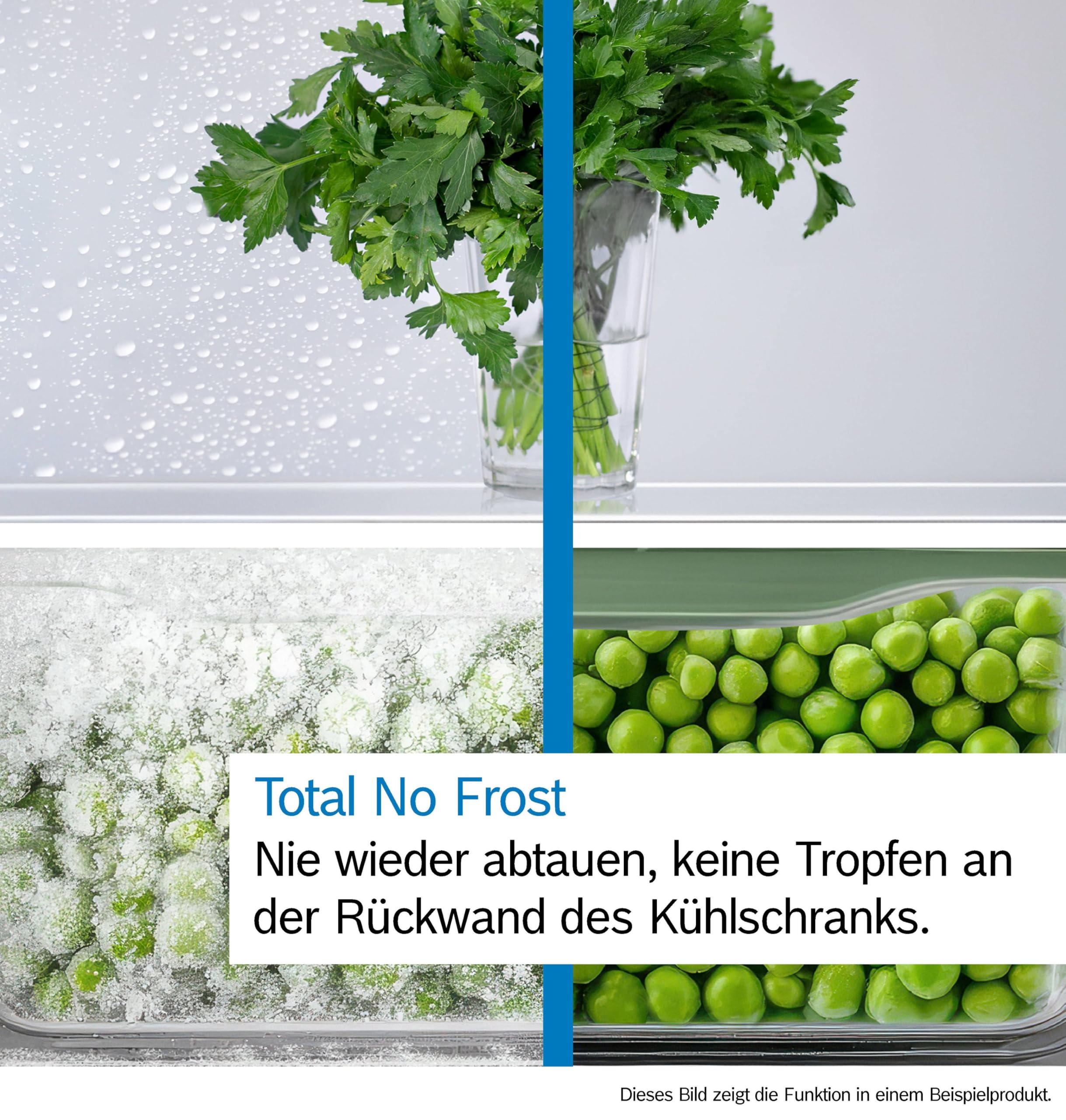Bosch Freistehende Kühl-Gefrier-Kombination 203 x 60 cm, Serie 4, Total No Frost, VitaFresh XXL für länger frische Lebensmittel, Easy Access Shelf, Perfect Fit, Metall-Optik, KGN392LCG 3