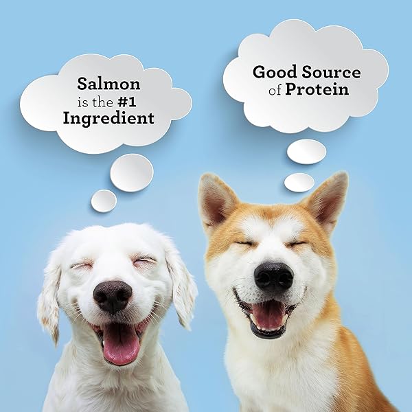 SMARTBONES PROTEIN RINGS WITH REAL SALMON AND CHICKPEAS, 10.5 OZ