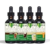 Stevia Liquid Drops Soda Pop Bundle - 4 Flavours (Ginger Ale, Cola, Rootbeer, Butter Cream Soda) - Zero Calorie, Natural Swee