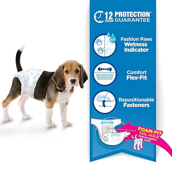 FOUR PAWS WEE-WEE SUPER ABSORBENT DISPOSABLE ADJUSTABLE DOG POTTY TRAINING DIAPERS, LEAK-PROOF PROTECTION FOR PUPPIES AND MEDIUM DOGS, EXTRA SMALL, 12 COUNT