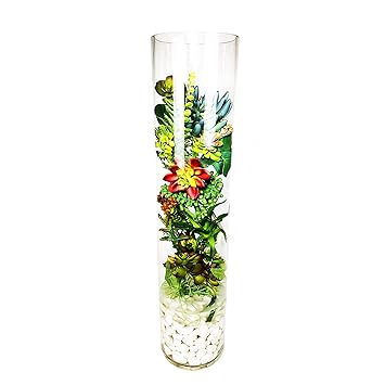 Buy Cys Handblown Tall Glass Cylinder Vase 1 Pack 26 6 Online