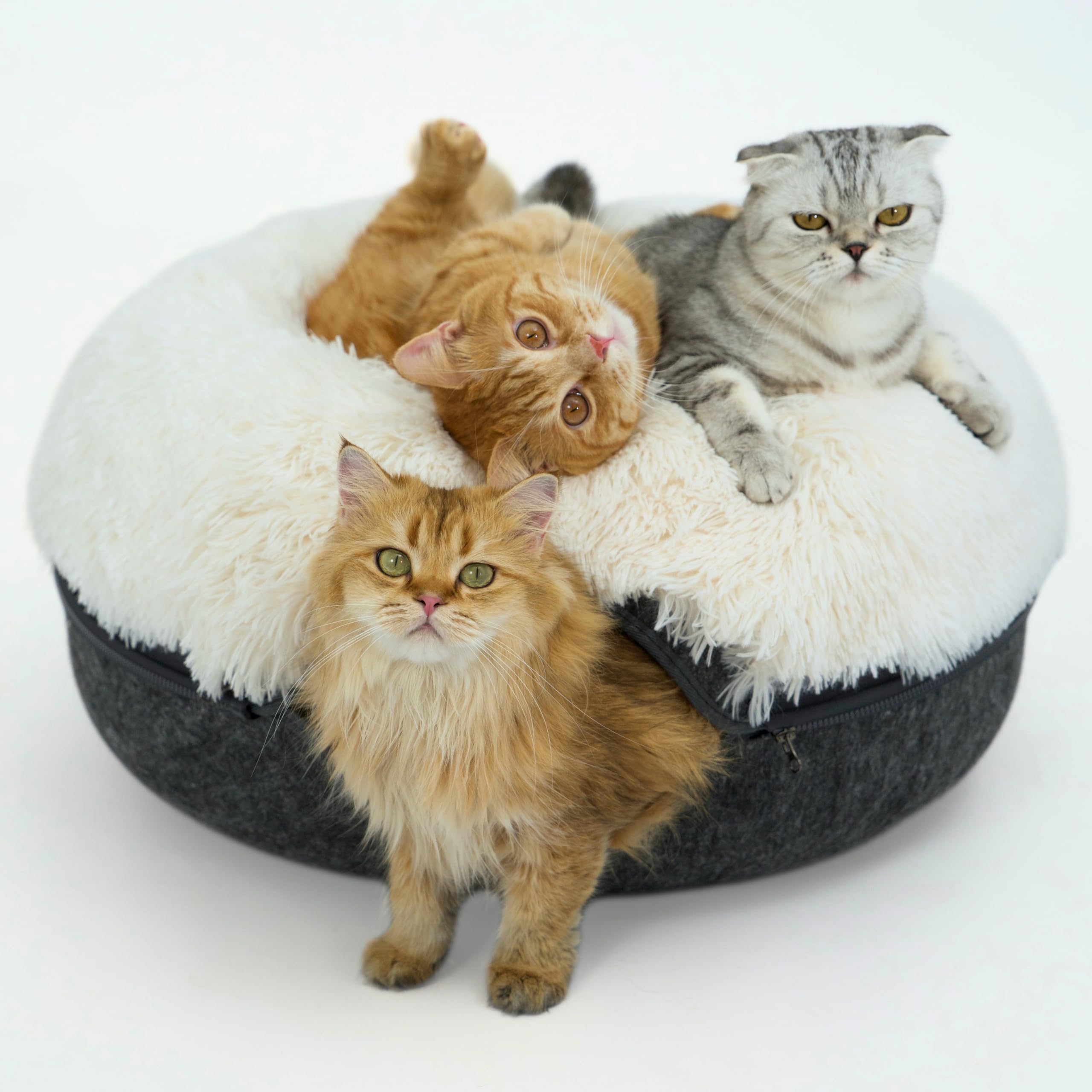 Photo 1 of **Cover ONLY**
CATTASAURUS Peekaboo Cat Cave for Multiple & Large Cats Up to 30-45 Lbs, Fluffy Cat Beds for Indoor Cats, Scratch Detachable & Washable Tunnel Bed, Comfy Donut Cave (Dark Gray, Large (Calming))