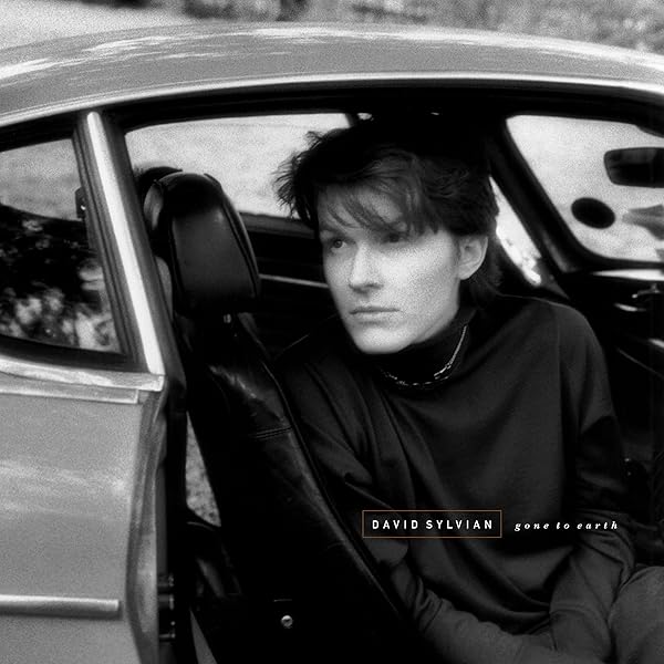 SYLVIAN, DAVID - Secrets of the Beehive - Amazon.com Music