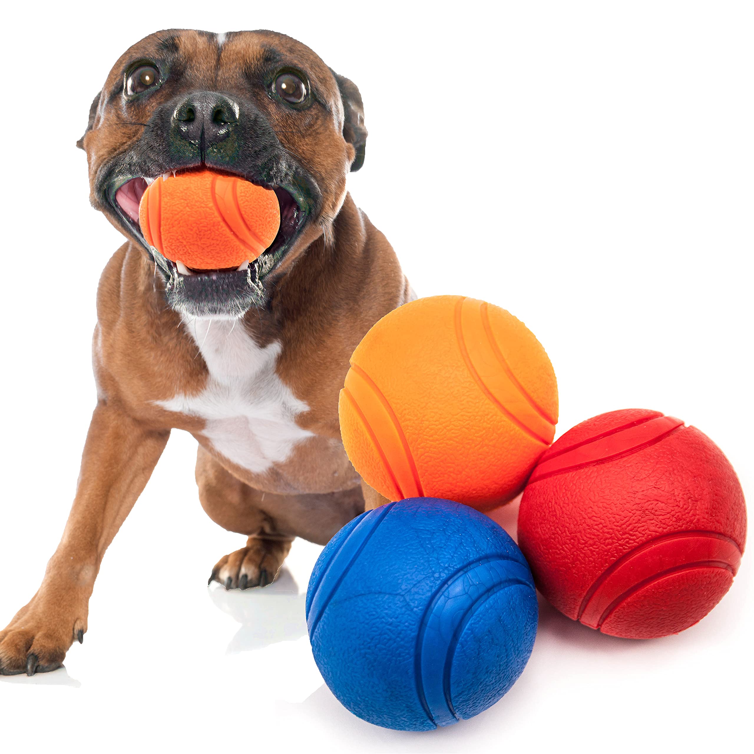 Petopedia 3x Solid Core – HIGH BOUNCING Rubber Ball – Interactive, Virtually Tough Indestructible Dog Toys for Boredom, Strong Balls, Fetch Play, Teething, Training (Blue, Red & Orange, 6cm)