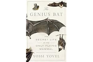The Genius Bat: The Secret Life of the Only Flying Mammal