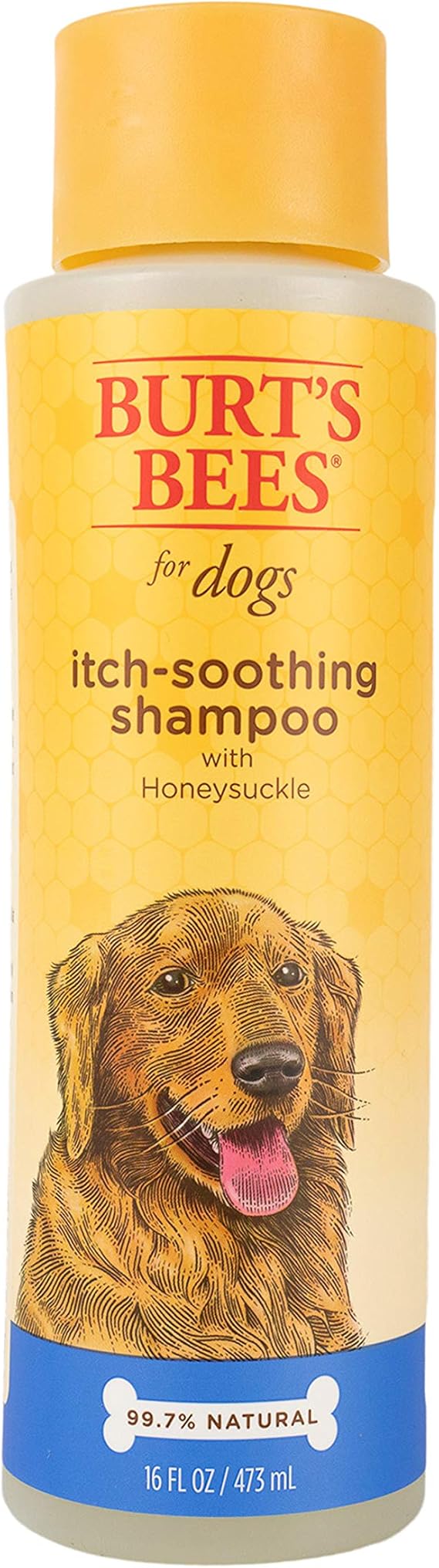 is honeysuckle bad for dogs