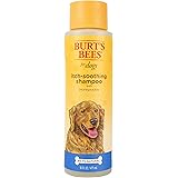 dog shampoo for allergy sufferers