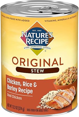 merle long haired dachshund